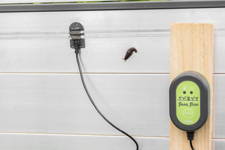 Kerbl SnailStop Elektrischer Schneckenzaun