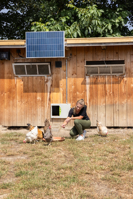 Kerbl Solar-Set