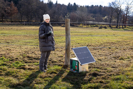 Kerbl Solarmodul