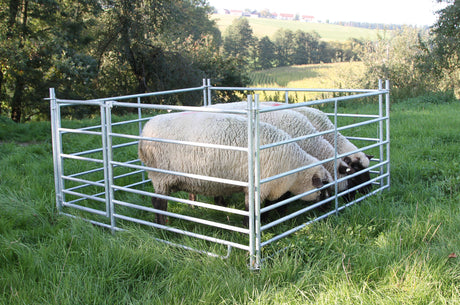 Kerbl Steckhorde