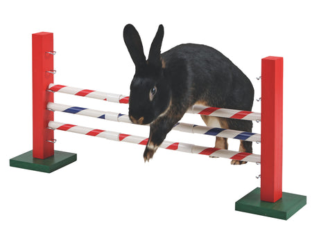 Kerbl Steilsprung Agility