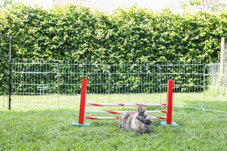 Kerbl Steilsprung Agility