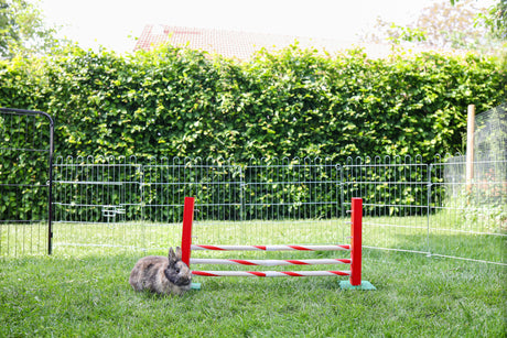 Kerbl Steilsprung Agility