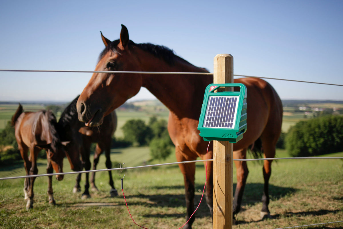 Kerbl Sun Power S 250