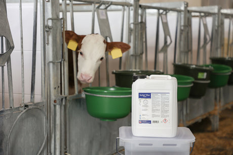Kerbl Surlac® Plus Liquid