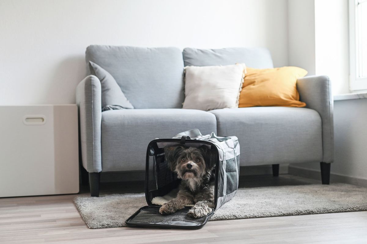 Kerbl Tragetasche Casual