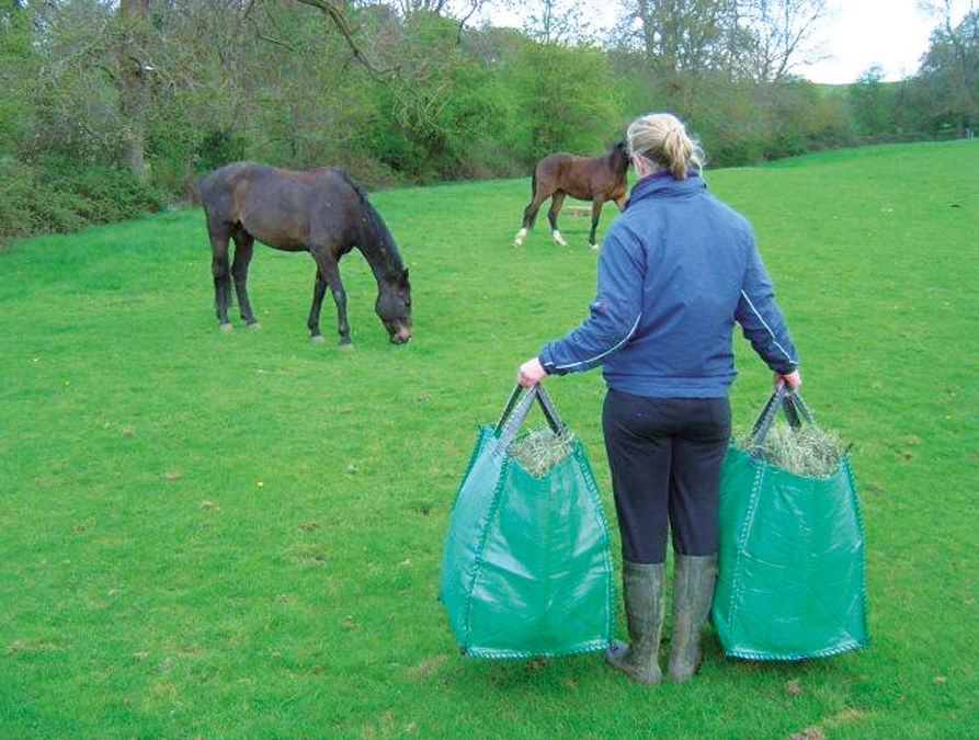 Kerbl Tragetasche GoBag