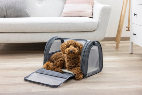 Kerbl Tragetasche Vacation Air