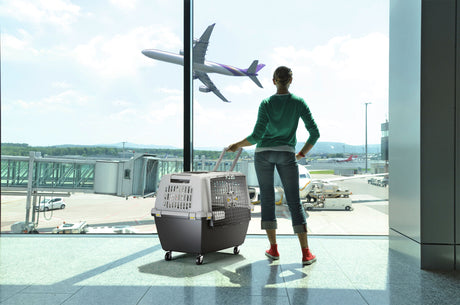 Kerbl Transportbox Gulliver Touring IATA