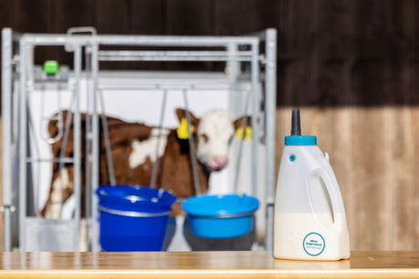 Kerbl Trusti Calf Drencher