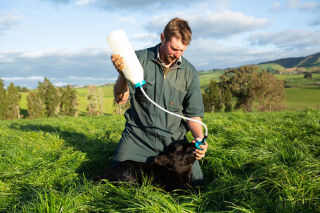 Kerbl Trusti Calf Drencher