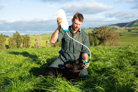 Kerbl Trusti Calf Drencher