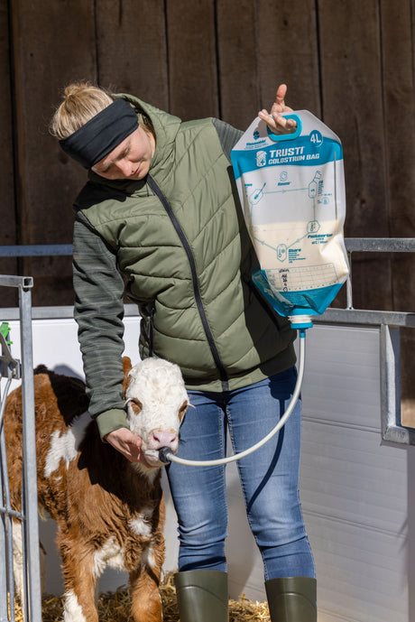 Kerbl Trusti Colostrum Bags
