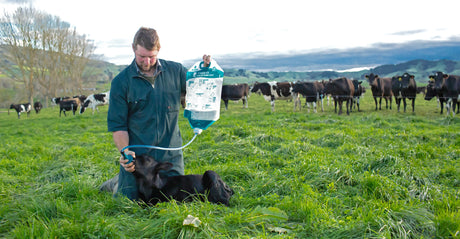 Kerbl Trusti Colostrum Bags