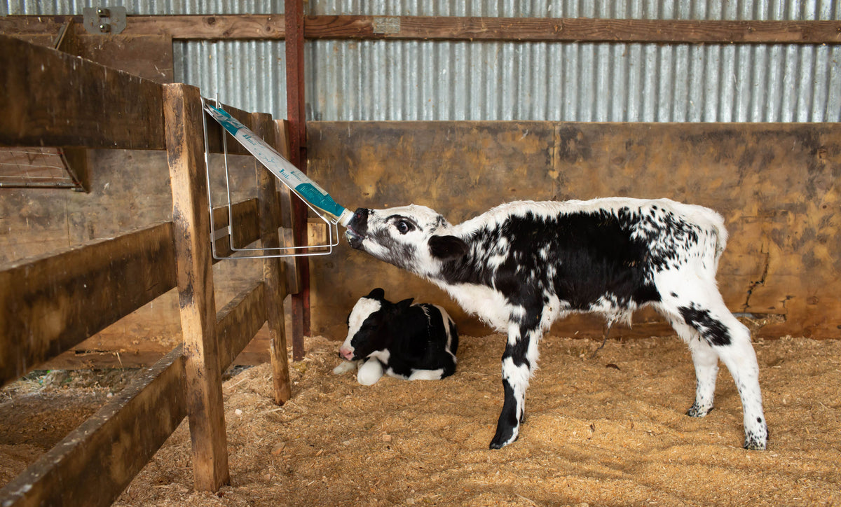 Kerbl Trusti Colostrum Bags