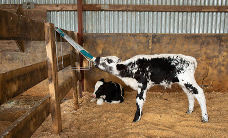 Kerbl Trusti Colostrum Bags