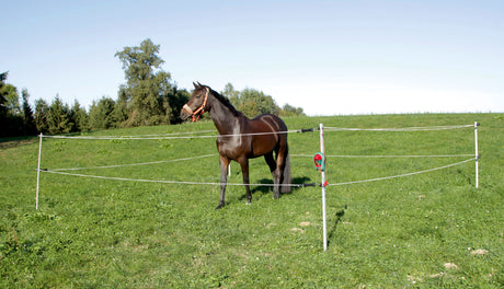 Kerbl Turnier-/Paddock Set 7 x 7 m