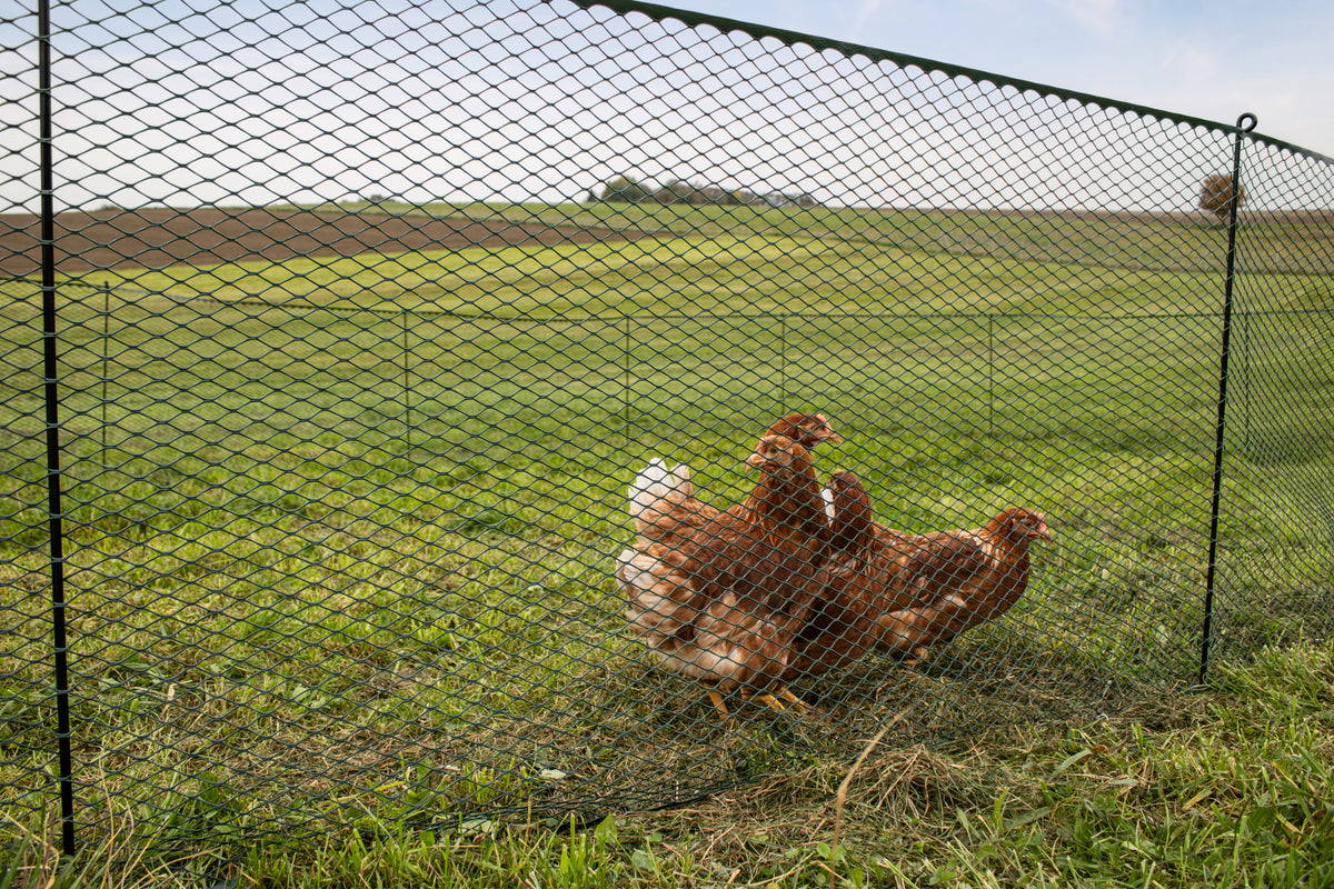 Kerbl Universalzaun MultiFence