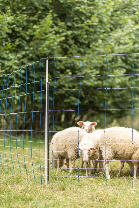 Kerbl Unterstützungspfahl für Weidenetze