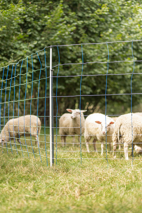 Kerbl Unterstützungspfahl für Weidenetze