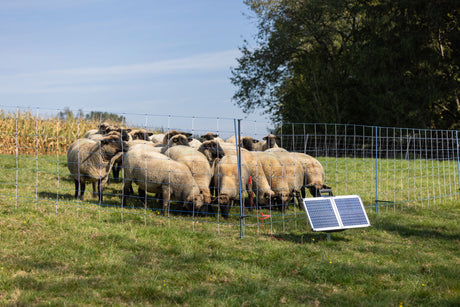 Kerbl Unterstützungspfahl für Weidenetze