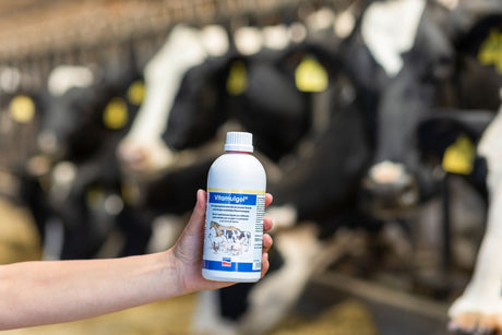 Kerbl Vitamulgol® Liquid