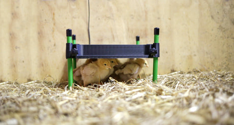 Kerbl Wärmeplatte für Küken CosyHeat