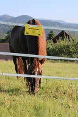 Kerbl Warnschild Vorsicht Elektrozaun!