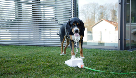 Kerbl Wasserspringbrunnen Bubble