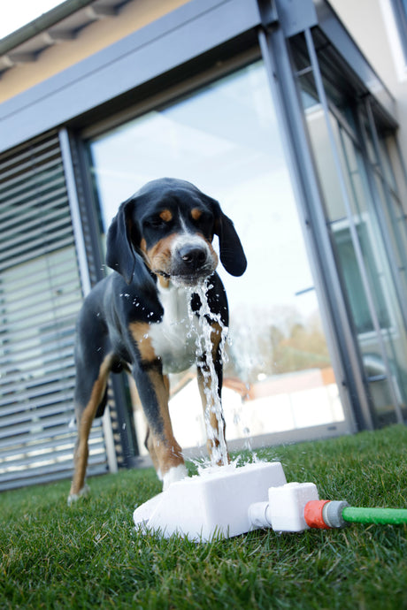 Kerbl Wasserspringbrunnen Bubble