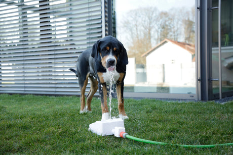 Kerbl Wasserspringbrunnen Bubble