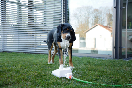 Kerbl Wasserspringbrunnen Bubble