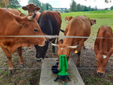 Kerbl Weidepumpe