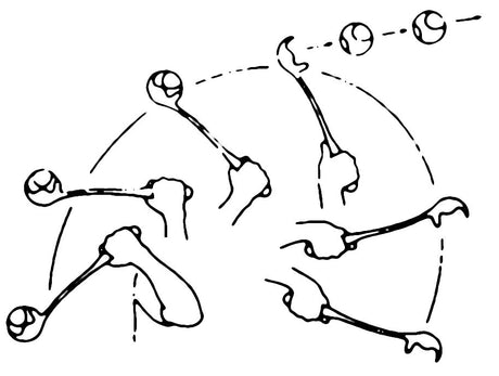 Kerbl Weitwurfstab Maxi Speed