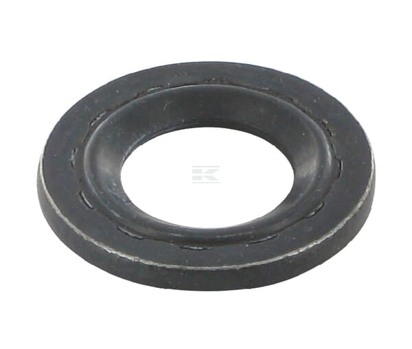 Dichtring 24353