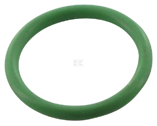 Dichtring 24610