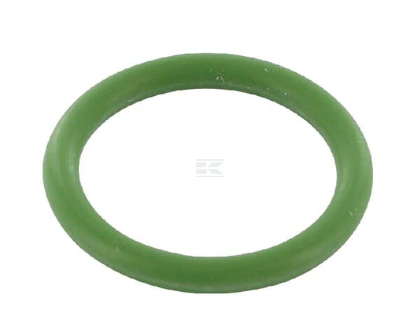Dichtring 24678