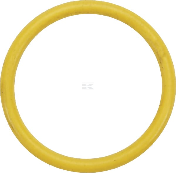 Dichtring 24681