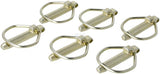 Klappsplint 11,5 mm x 45 mm (6)