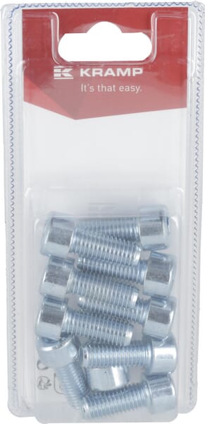 Innensechskantschraube M10 x 25mm, 8.8 (10)