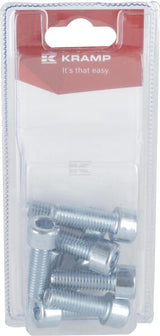 Innensechskantschraube M10 x 30mm, 8.8 (10)
