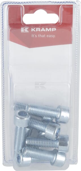 Innensechskantschraube M10 x 30mm, 8.8 (10)