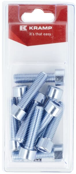 Innensechskantschraube M10 x 40mm, 8.8 (10)