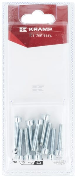 Innensechskantschraube M5 x 25mm, 8.8 (10)