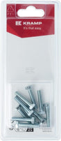 Schraube M5 x 25mm, 8.8 (10)