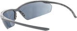 Schutzbrille 02 mit getöntem Glas