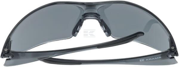 Schutzbrille 03 mit getöntem Glas