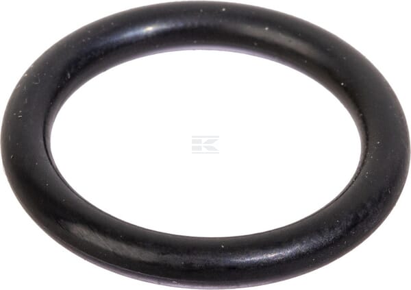 O-Ring