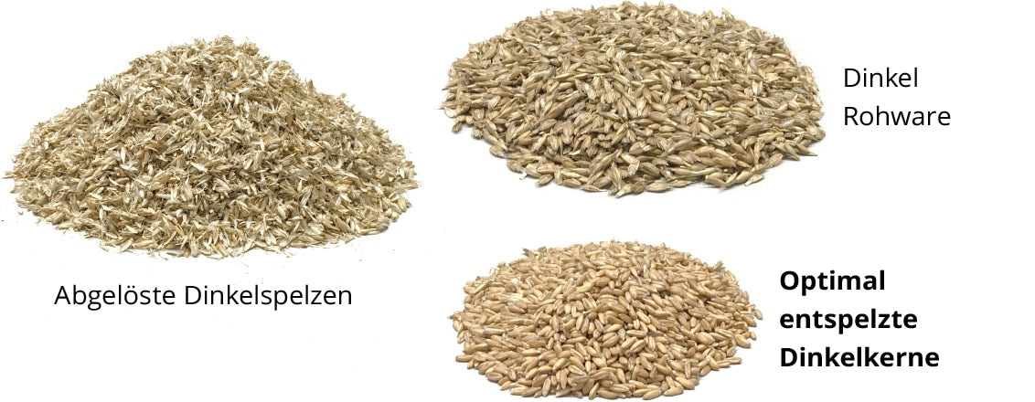Lehner Lehner SpeltEx® Dinkel-Probenentspelzer