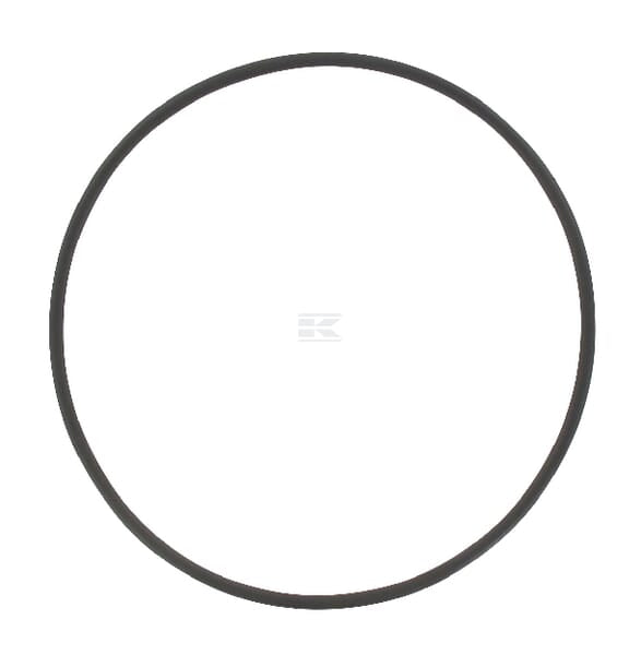 O-Ring